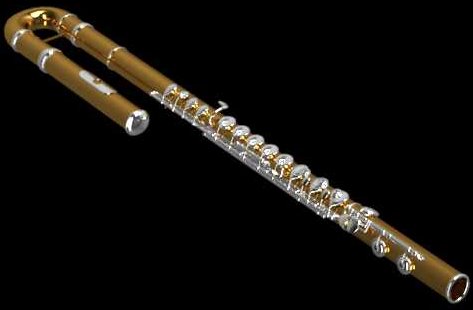 Instrument Family - FLUTE FACTS