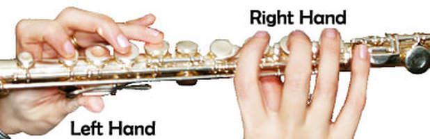 How to Play your Flute - FLUTE FACTS